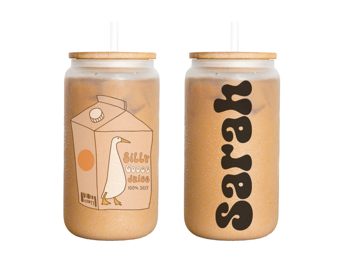 Custom Silly Goose Juice Frosted Glass Can: Retro Iced Coffee Cup - KWL Creations